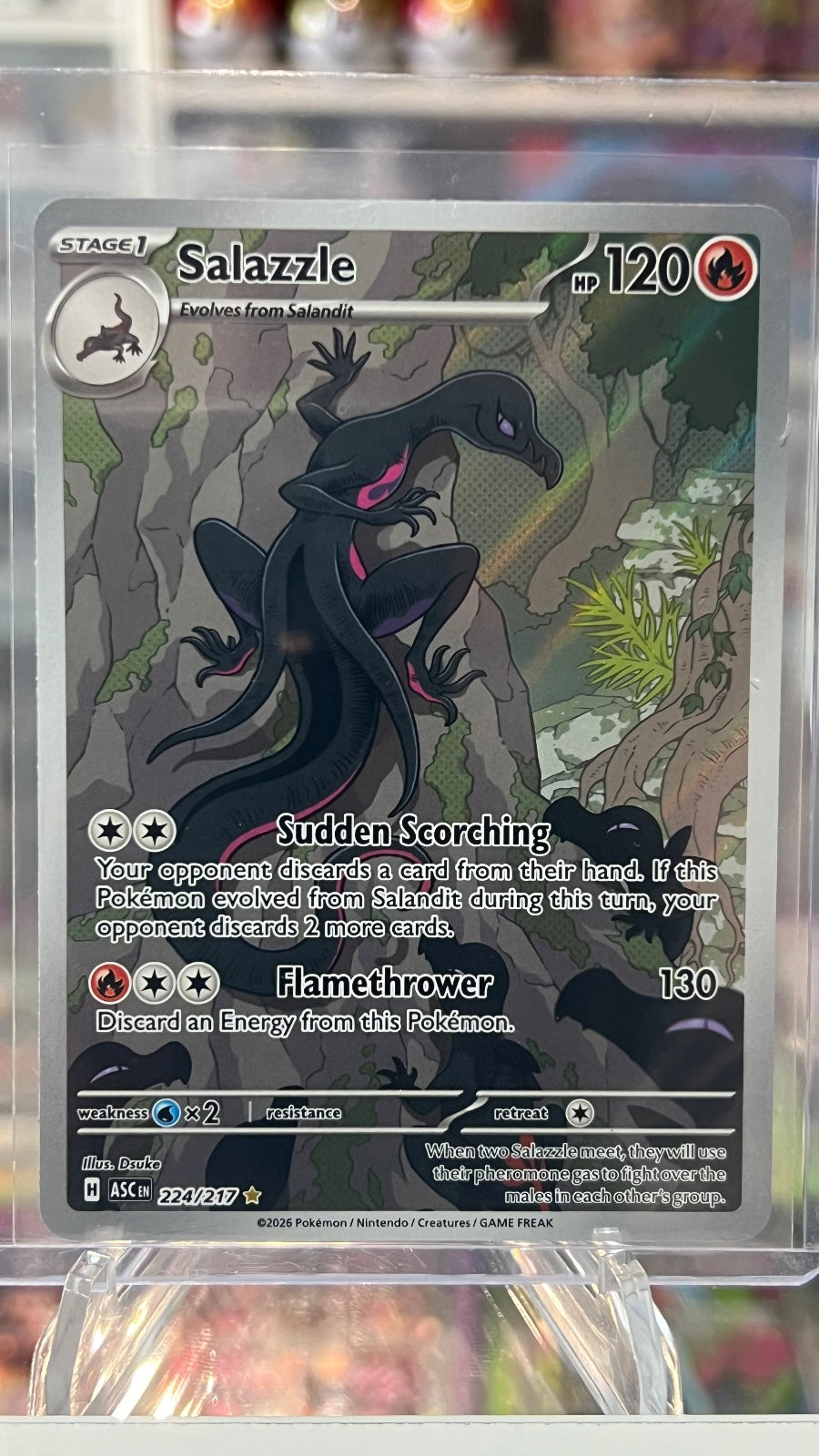 Salazzle Holo Illustration Rare ME: Ascended Heroes 224/217 NM